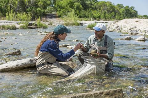 Texas Park and Wildlife Department biologists working in a stream